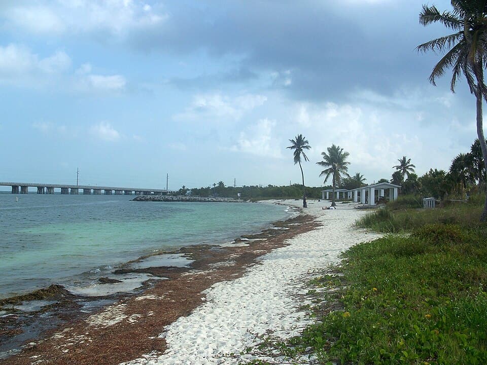 Beach at Bahia Honda State Park with palm trees and the old Bahia Honda Bridge