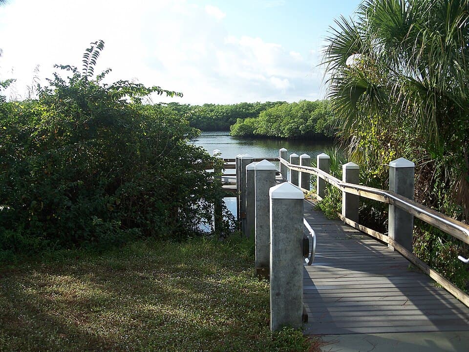 Boardwalk along the Loxahatchee River at Jonathan Dickinson State Park
