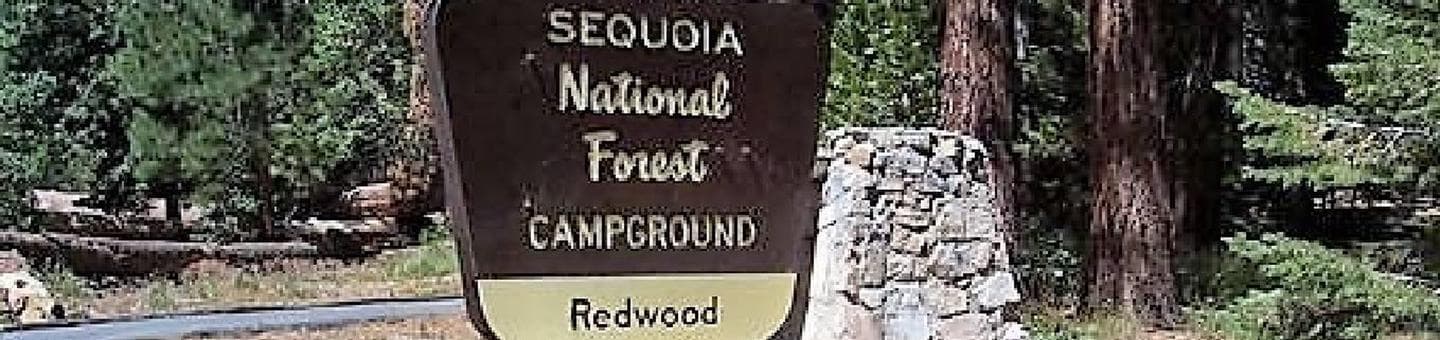 Redwood Meadow