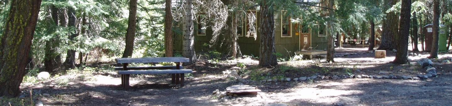 Bench in forest with cabin visible through trees in background.