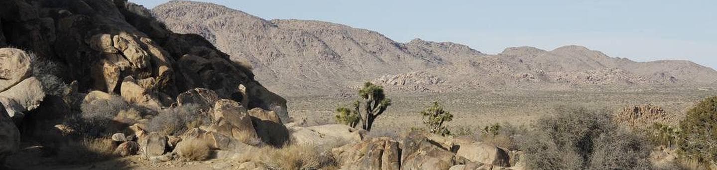 Sheep Pass Campground
