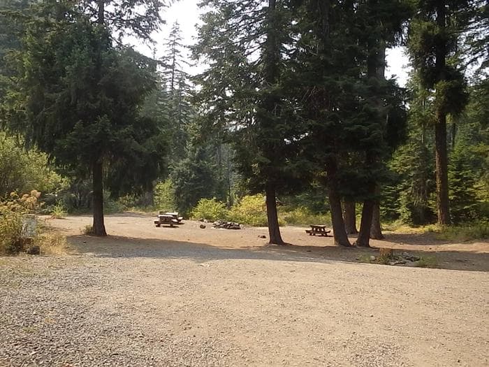 PINE NEEDLE GROUP SITE