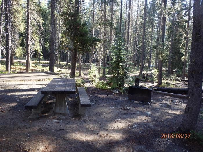 Lodgepole Campground