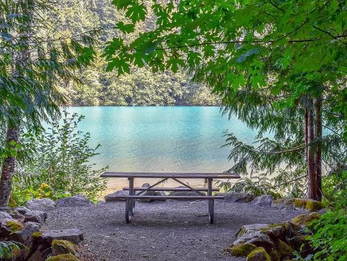 Picnic table with a view of Diablo Lake in a Colonial Creek campsite, framed by trees.