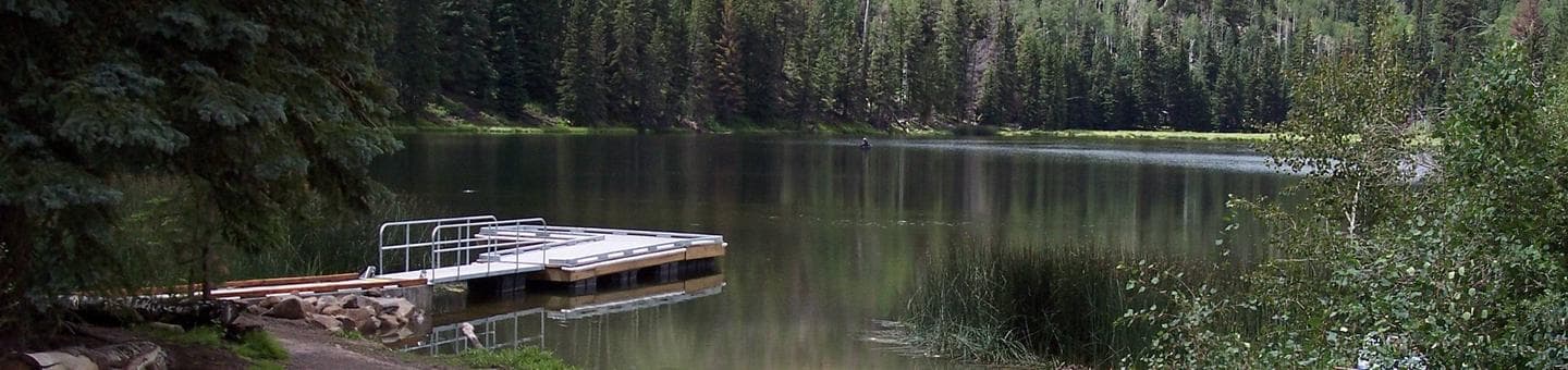 Fishing Dock on Posey Lake