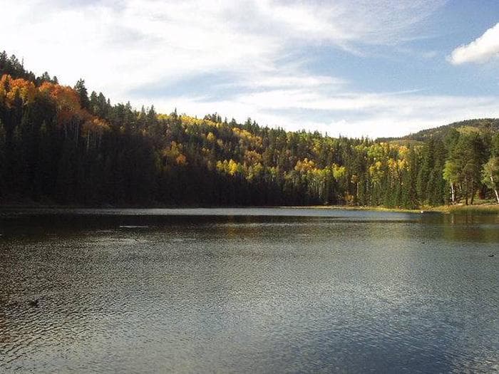 Posey Lake Fall Colors