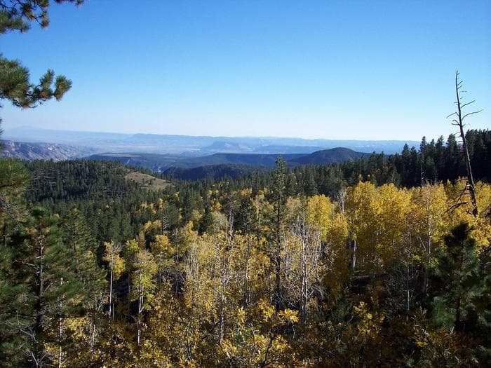 View from Posey Lookout above the campground