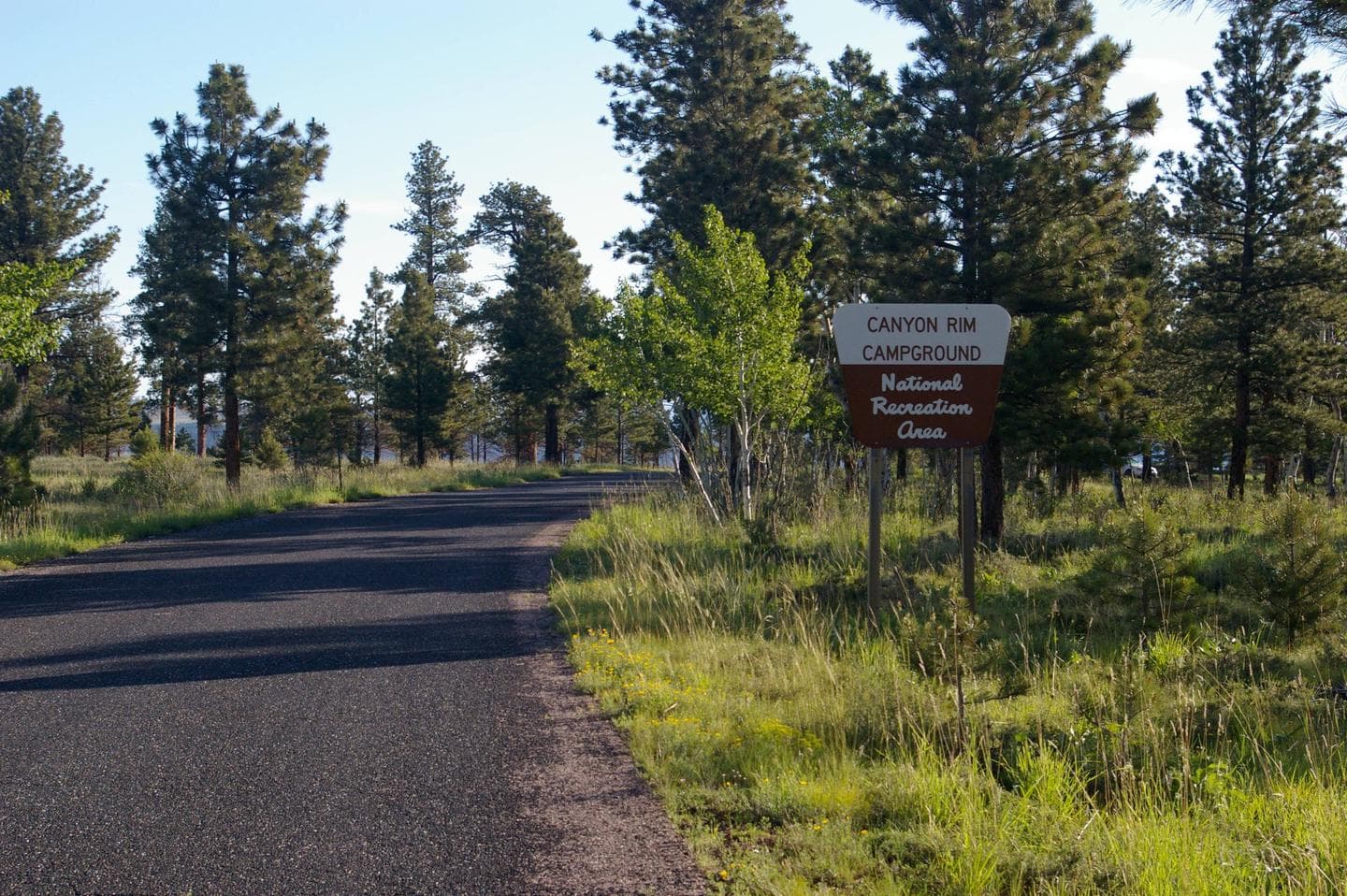 Campground sign that is found on the side of the road while driving into the campground.