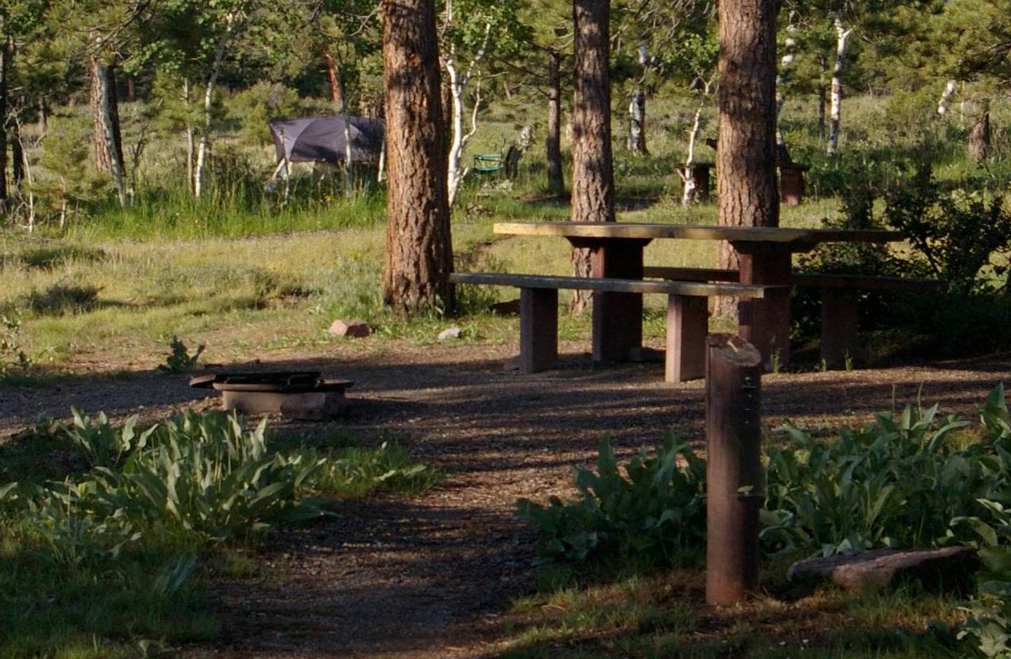 This site is has a tent set up in the background. There is a picnic table and fire pit in the non-grassy area. This site offers some shade.