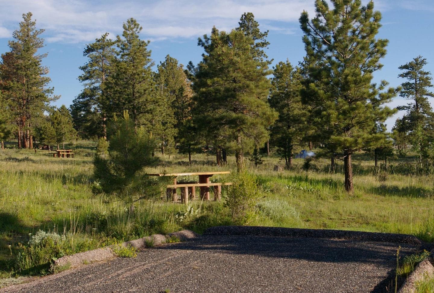 This site has a picnic table and grill in a grassy area to the back of the parking slot. There are a few trees that are in the background.
