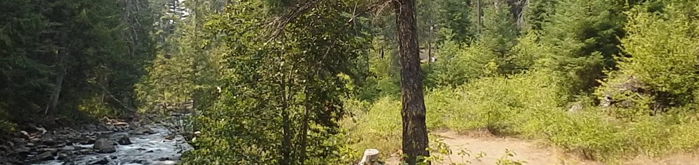Dirt trail above rocky creek and conifer forest.