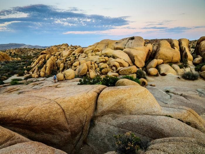 Jumbo Rocks, Joshua Tree National Park