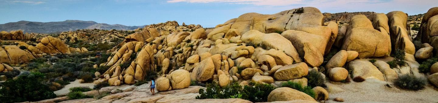 Jumbo Rocks, Joshua Tree National Park