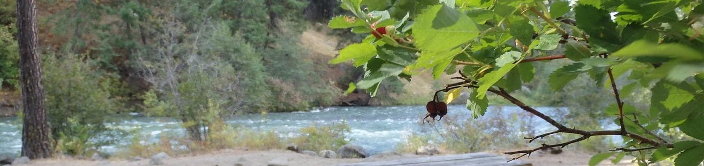 Hause Creek Campground