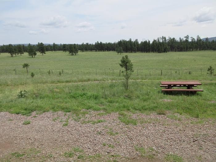 View from Caldwell Cabin