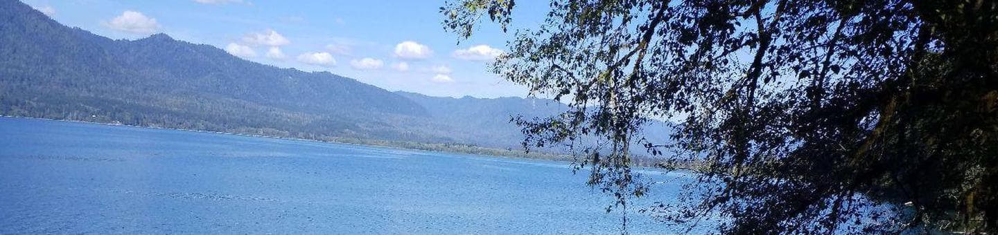Silhouette of a deciduous tree in front of a blue, sunlit lake with mountains and clouds floating in blue sky as backdrop.
