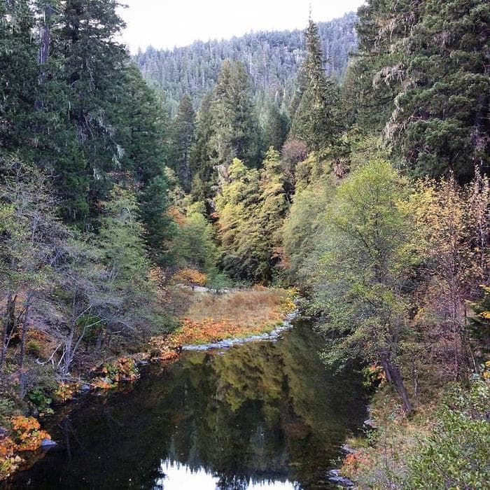 River with fall foliage.