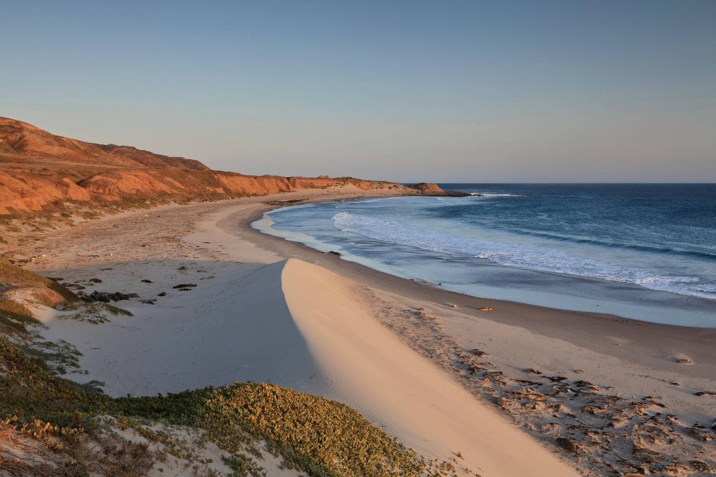 Sandy beach with ocean and small waves and steep coastal bluffs covered in dry grass.