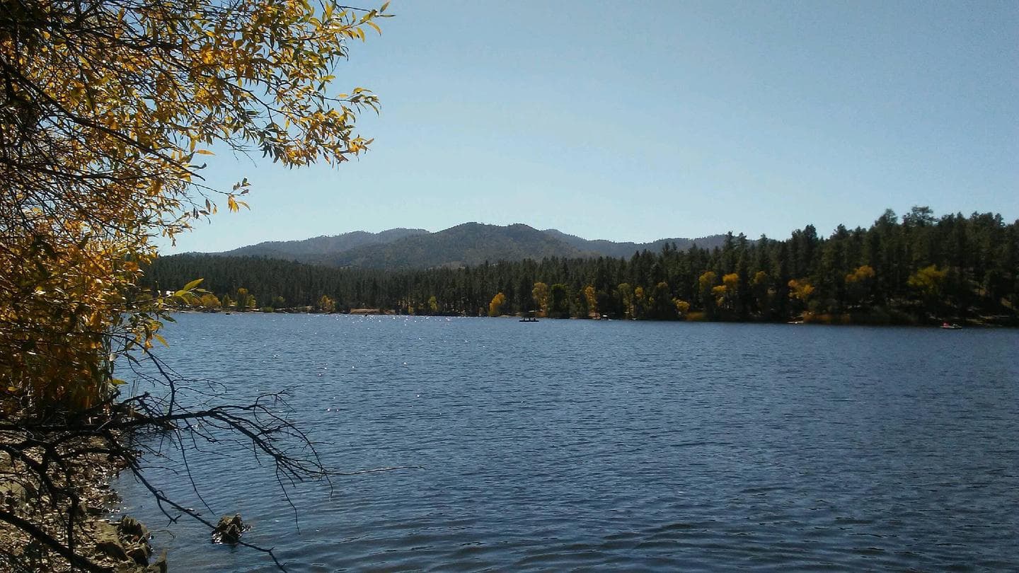 Lynx Campground campground at Prescott National Forest, Arizona
