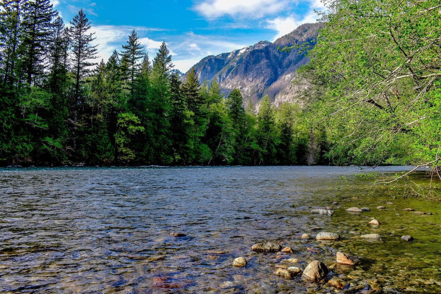 Placid river bordered by lush forests with tall mountains in the distance
