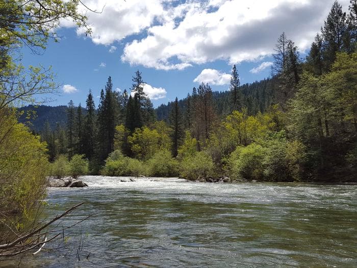 North Fork Yuba River