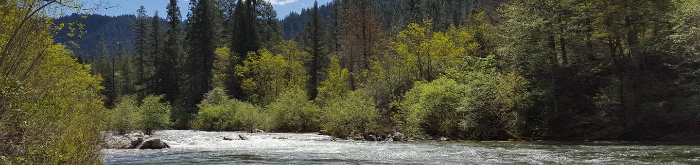 North Fork Yuba River