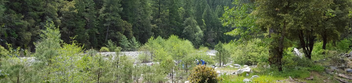 Whitewater Rafting, North Fork Yuba River