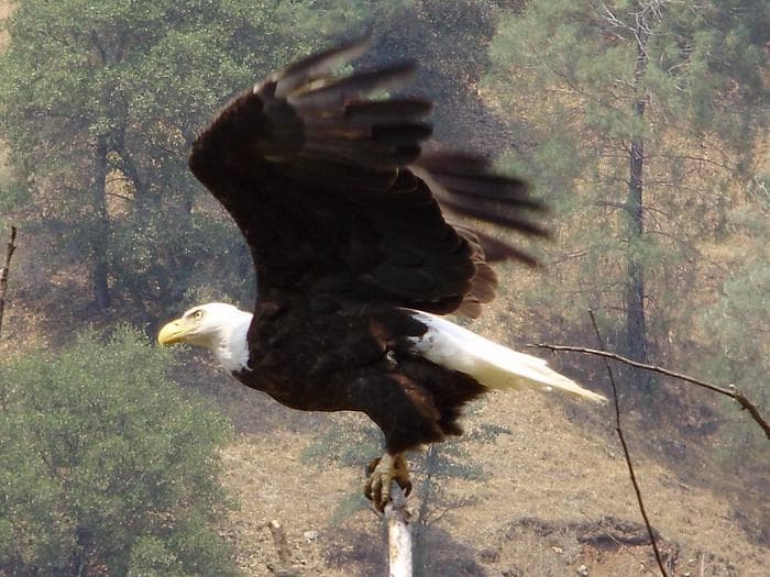 Tuttletown Recreation Area