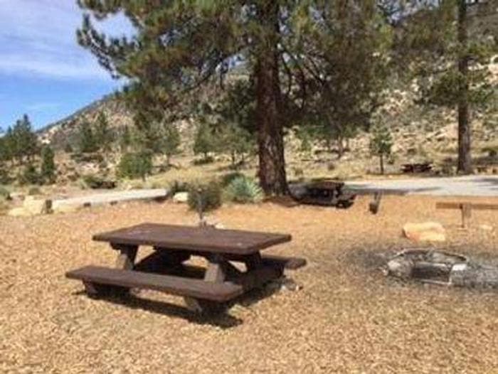 MEADOW GROUP CAMPGROUND4