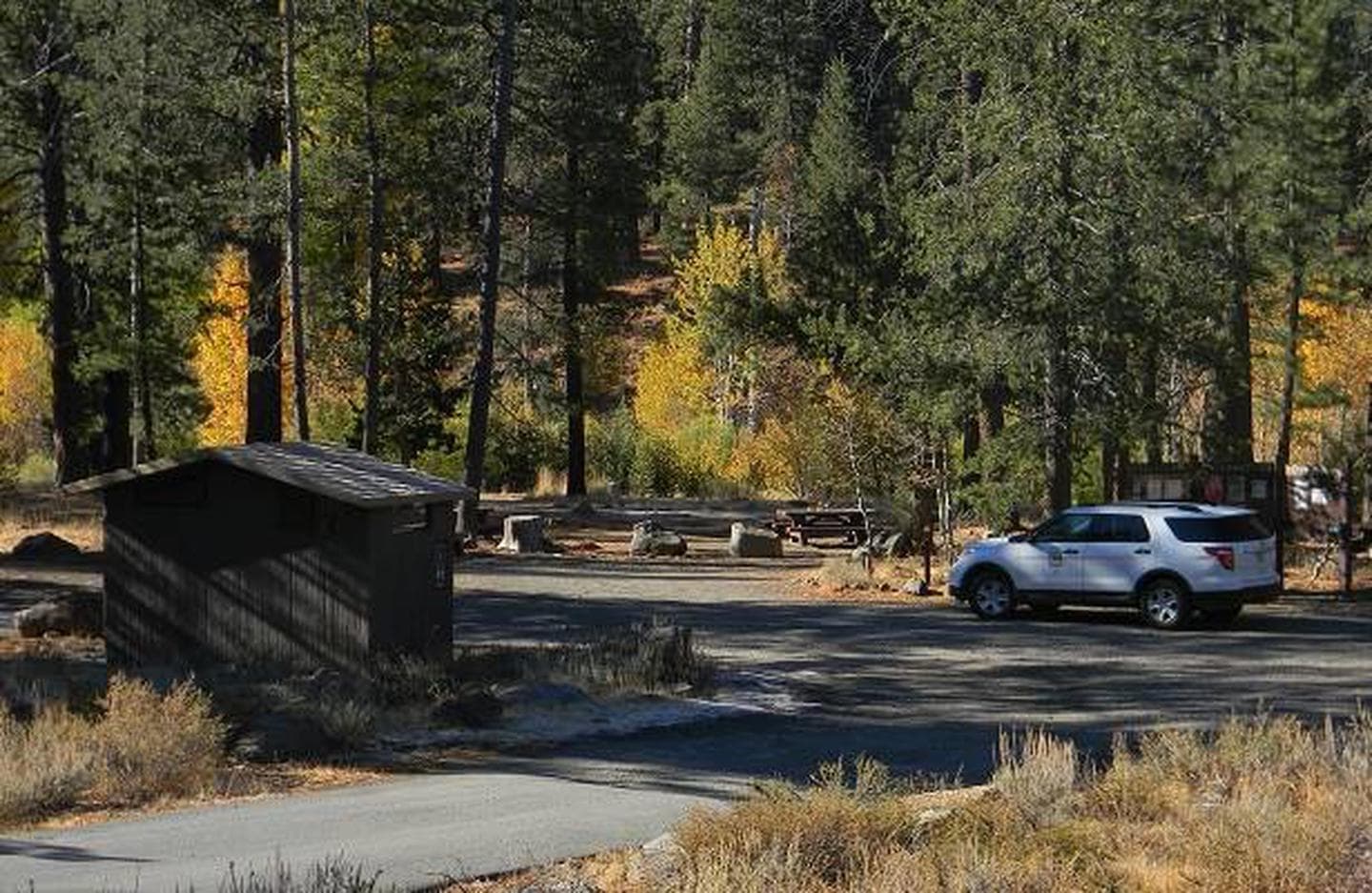 Lower Little Truckee