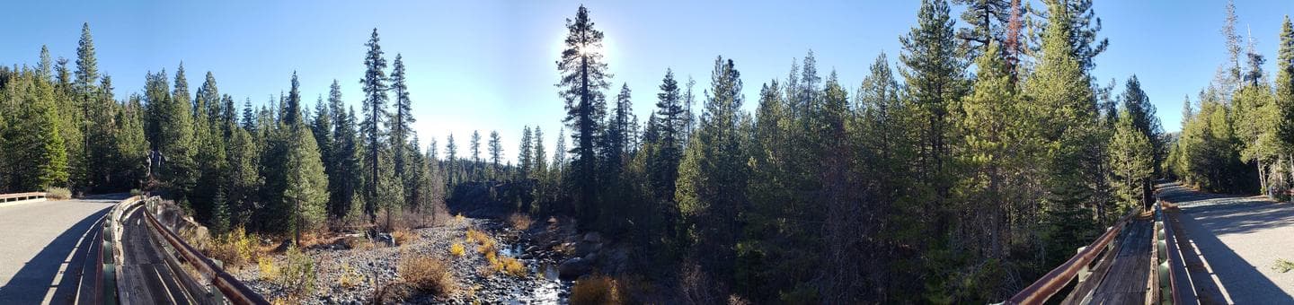 LEWIS at FRENCH MEADOWS