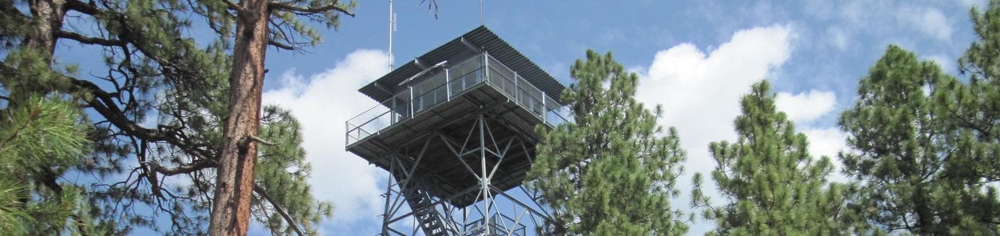 Gentry Fire Watch Tower amid Ponderosa pine trees