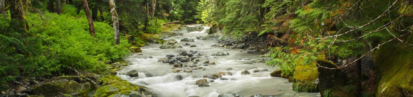 Mount Rainier National Park