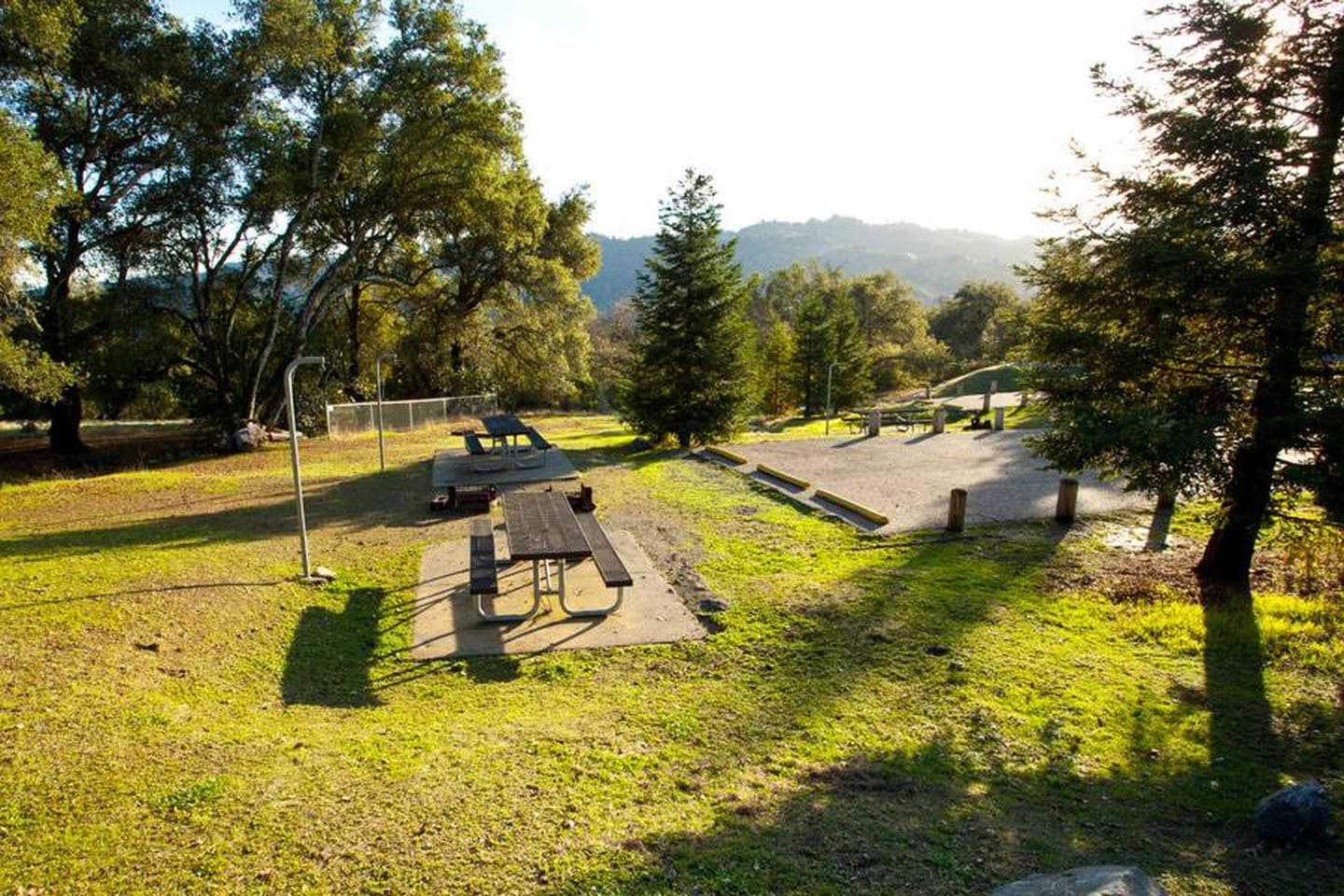 A loop site 14 (double site)