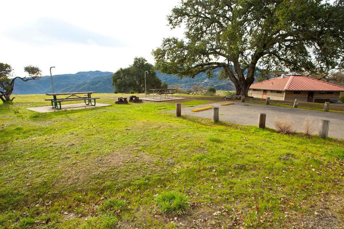 B loop site #68 (double site)