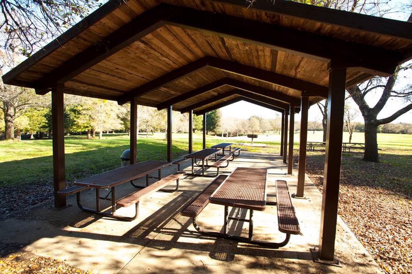 Juniper Hill Group Picnic #3