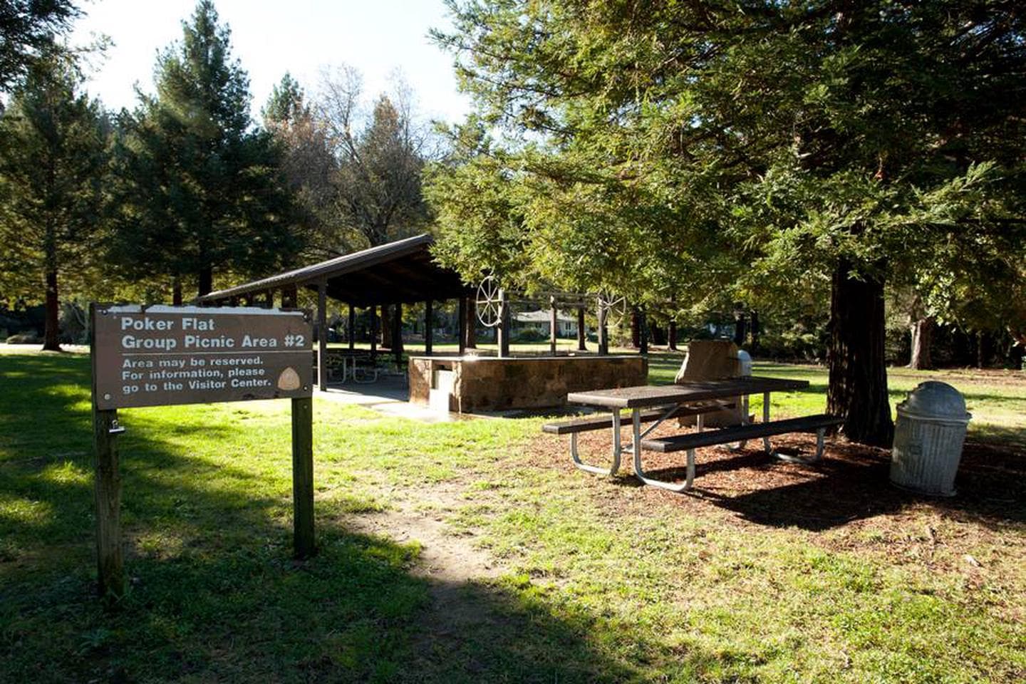 Poker Flat Group Picnic #2