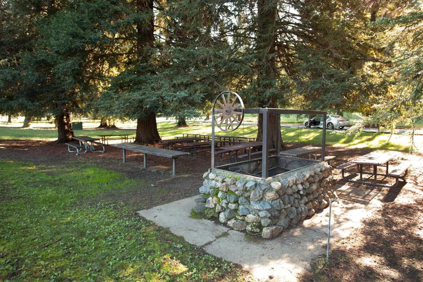 Redwood Hollow Group Picnic #1