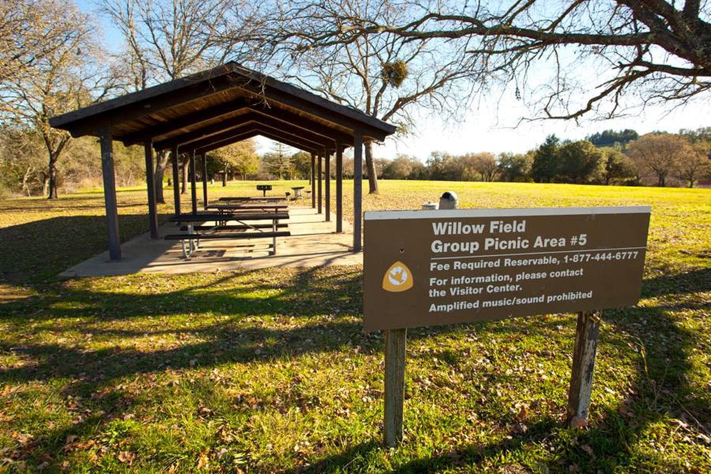 Willow Field Group Picnic #5
