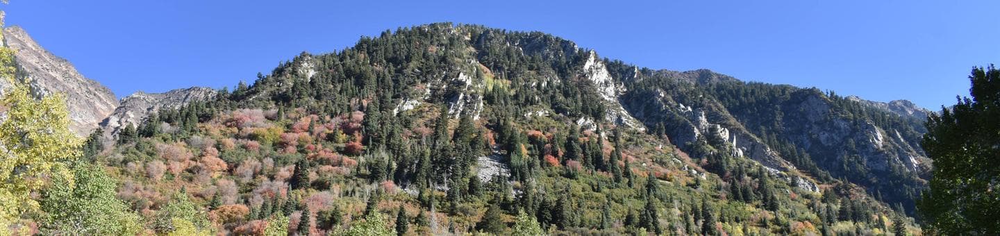 Tanners Flat - Little Cottonwood Canyon