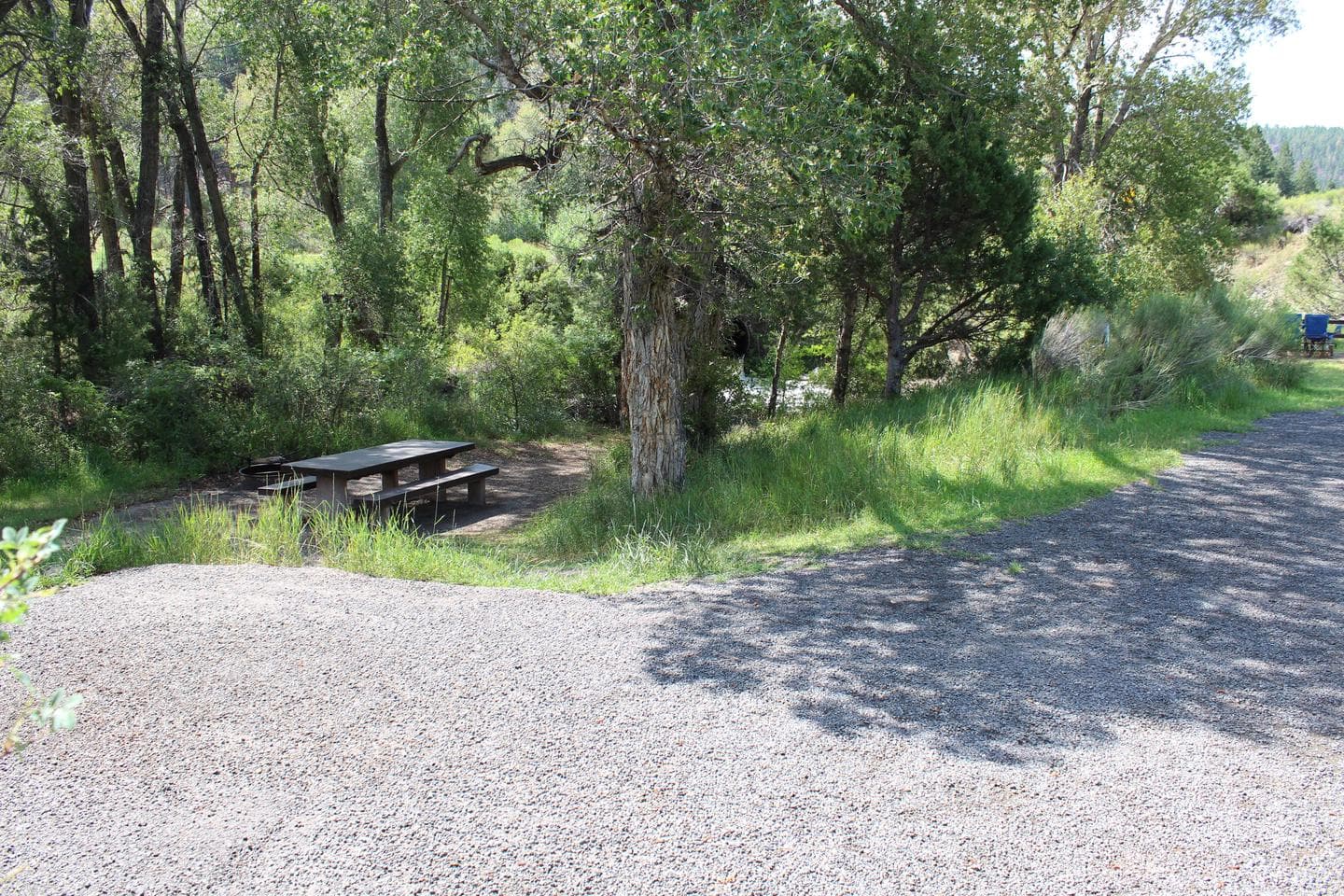 Campsite #5 on the creek