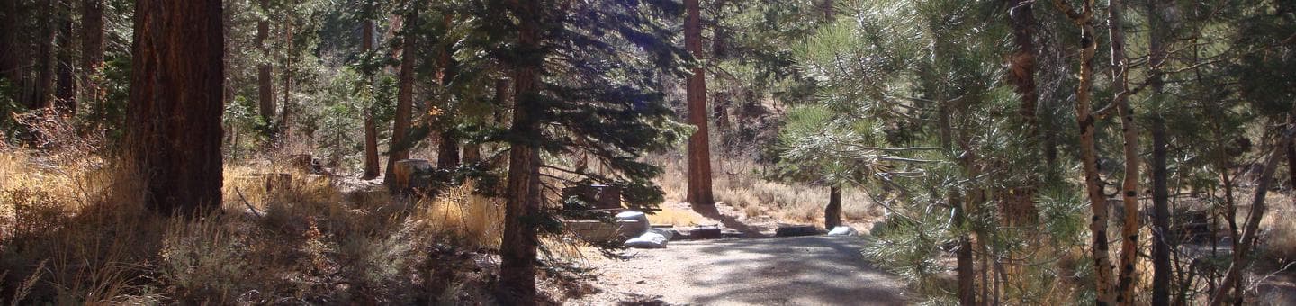 Reversed Creek Campground