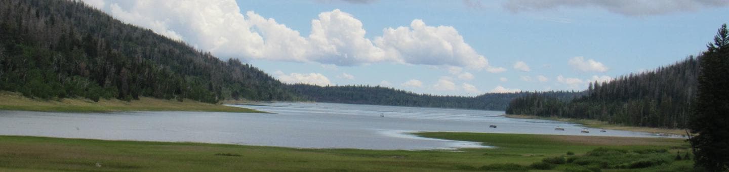 View of Navajo Lake