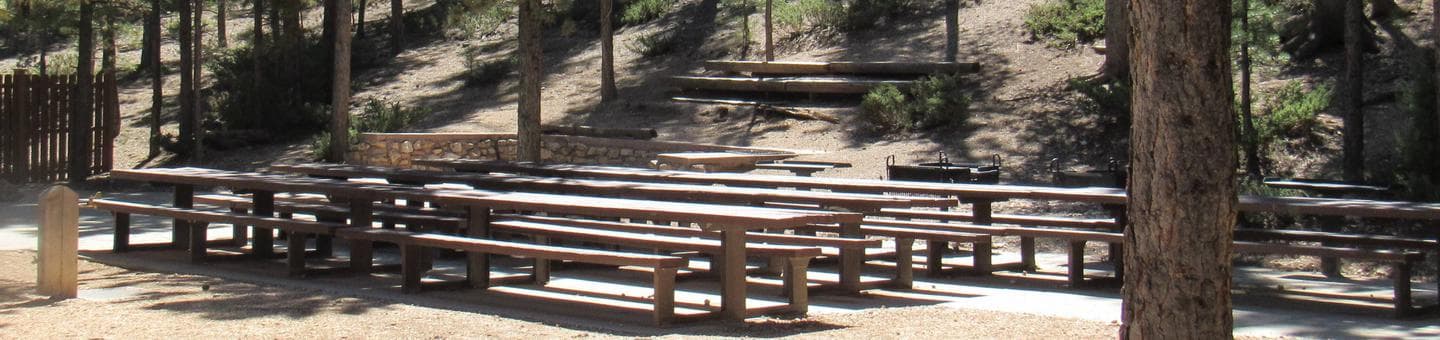 Kings Creek Group Site