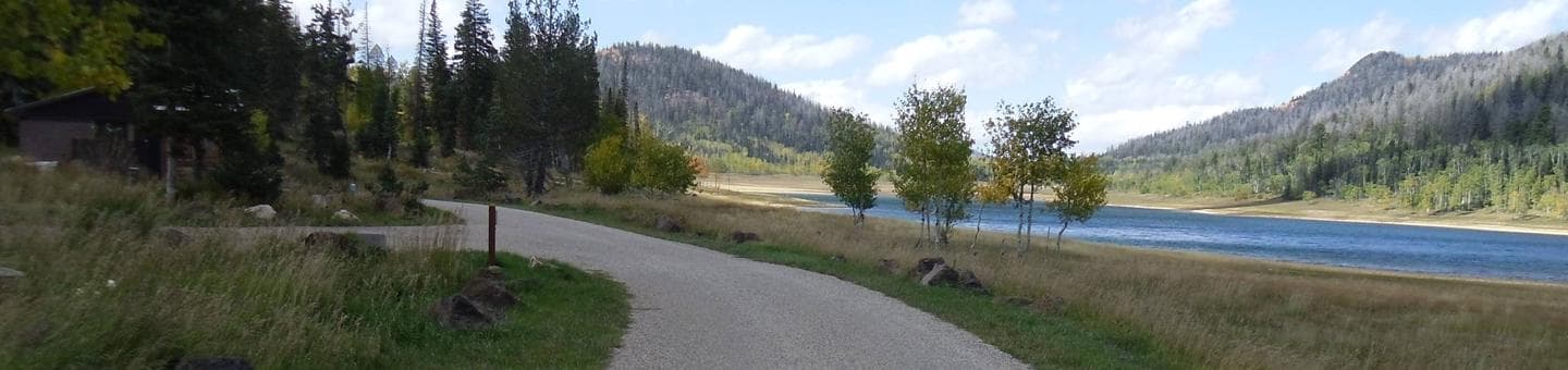 Campsites overlooking the lake.