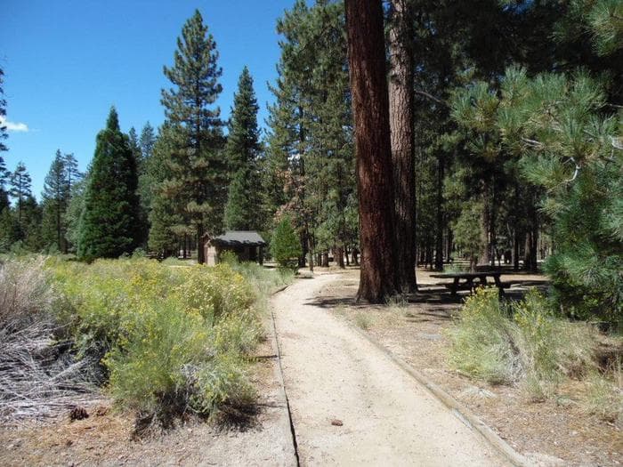Barton Flats bathroom trail