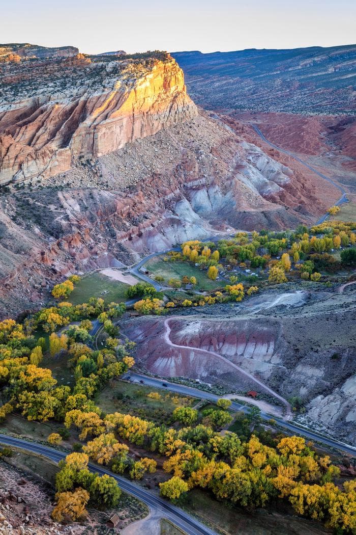 Looking down on several trees with yellow-green leaves. In the middle of the trees is a patch of dirt with a dirt road going through it. To the right side a red rock formation looms over the trees.