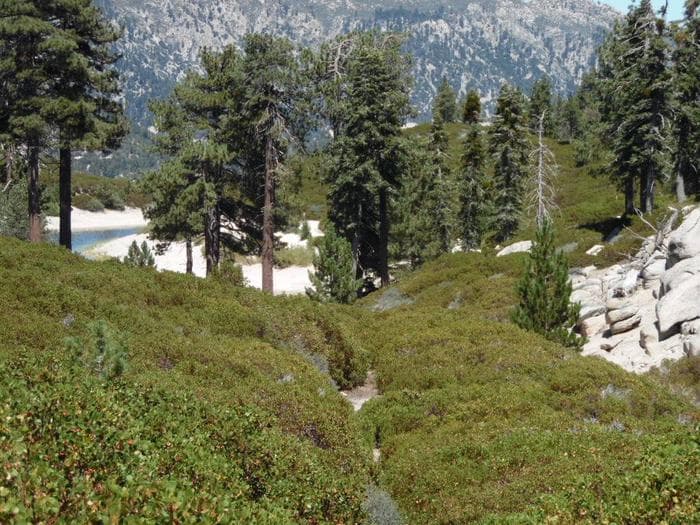 Shady Cove Group Campground