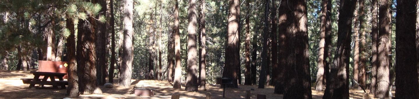 Pine Glen Campground