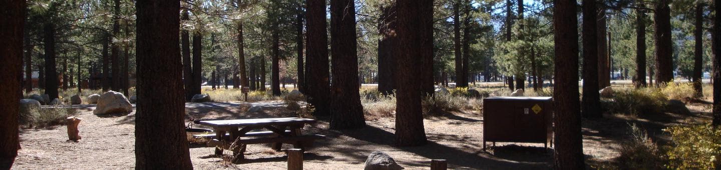 New Shady Rest Campground